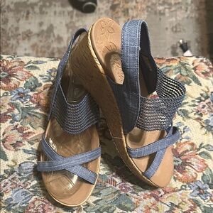 Stylish Blue Wedge Sandals